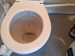Ladies toilets