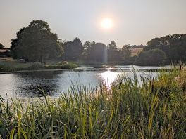 Sunset over the fishing lake