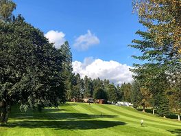 Grass pitches