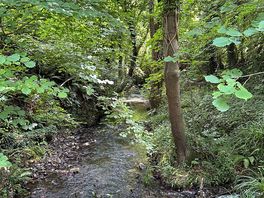 Riverside walk