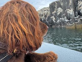 I can see the wildlife mummy 🐶❤️