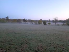 View across another camping field.