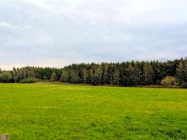 Grounds