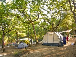 Pitches on site
