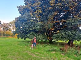 Nice wonder around the adjacent fields