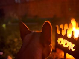 Cosy evening by fire pit.