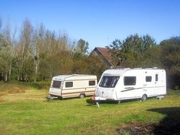 Trees around the pitches