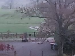 View from field