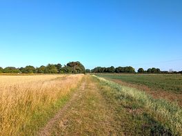 Great walks