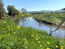 Down river