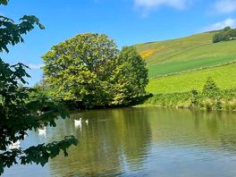 Beside farm shop