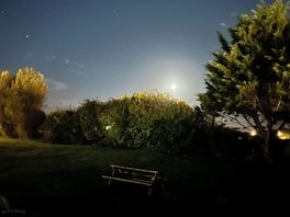 Moonlight