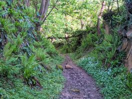 Track to the pub