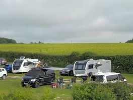 Our pitch