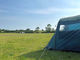Field