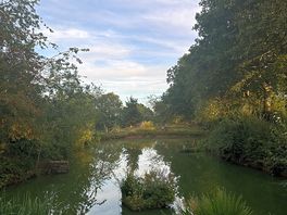 Wellness woodlands site