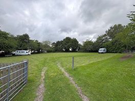 View of the field