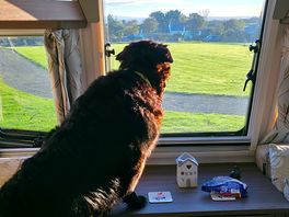 Dog friendly with plenty walks nearby