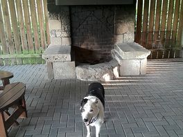 The fire in the hide