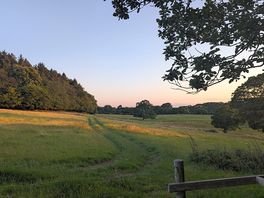 The view from our tent.
