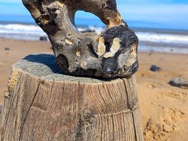 Haag stones