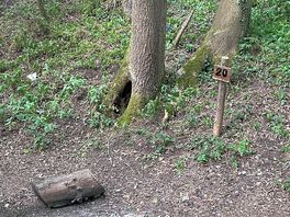 Pitch 20