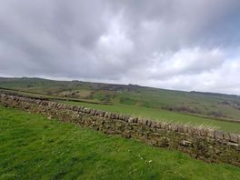 The view