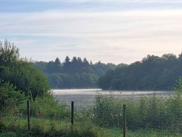 Morning mists