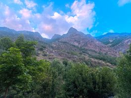 The view from our pitch!