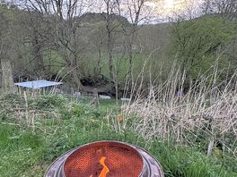 Daffyd pitch