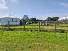 The yurts