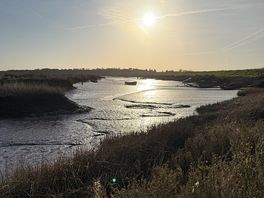 Morning walk