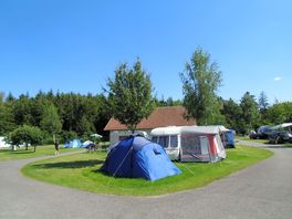Pitches on site