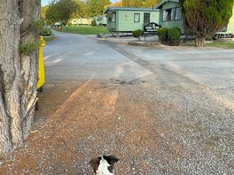 Site