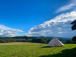 View from the site