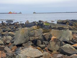 Harbour