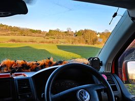 View from the camper