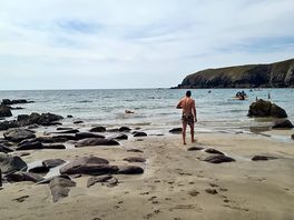 Dog friendly beach