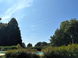 Scenery around the pool.