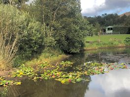 Small lake on the grounds with feeding herons seen.