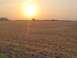 Sun set