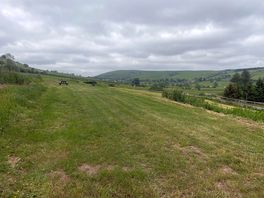Beautiful view