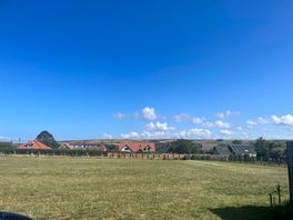 The site