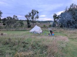 Tipi