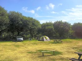 Grass pitch