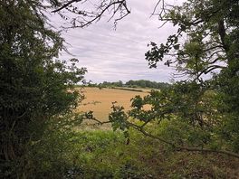 View from behind our tent