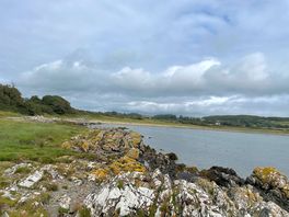 The bay