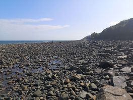 Rockpooling