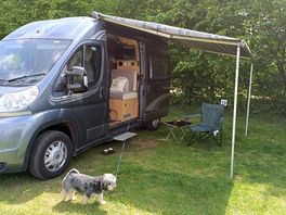 Sutton hoo campsite