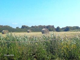Fields across the water